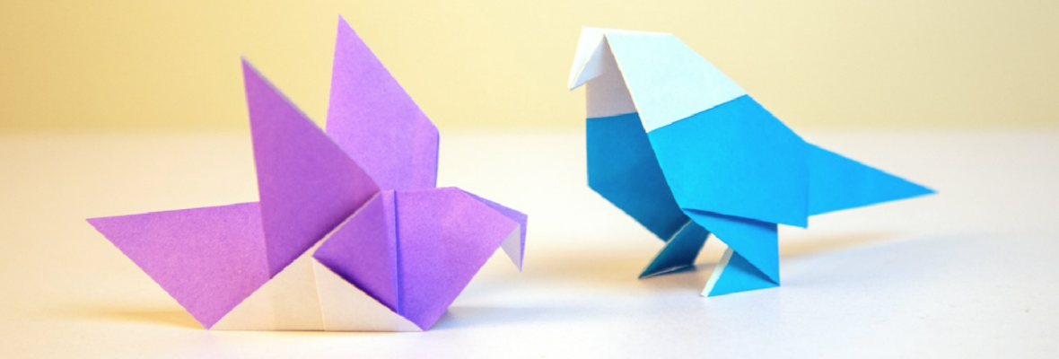 The Birds are feeding